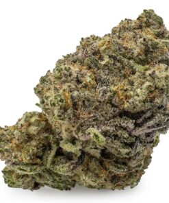 Animal Cookies Cannabis Strain