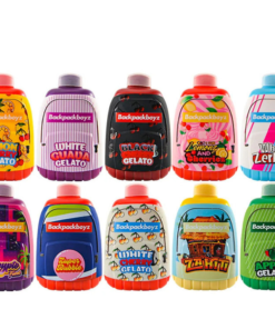 BACKPACK BOYZ VAPE UK