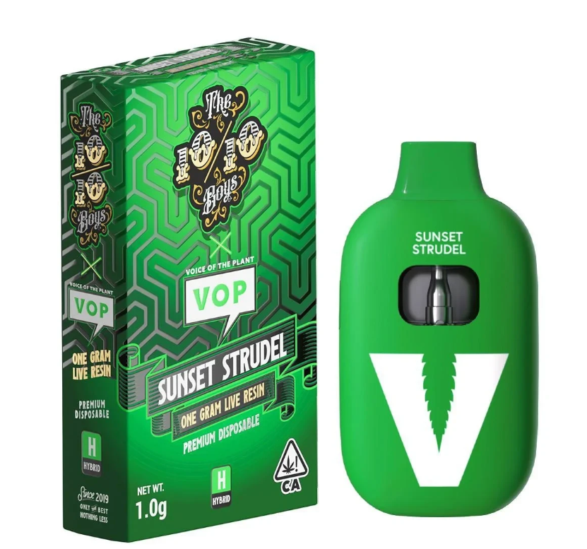 TT x VOP SUNSET STRUDEL HYBRID